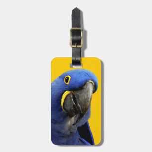Hyacinth Macaw Luggage Tag