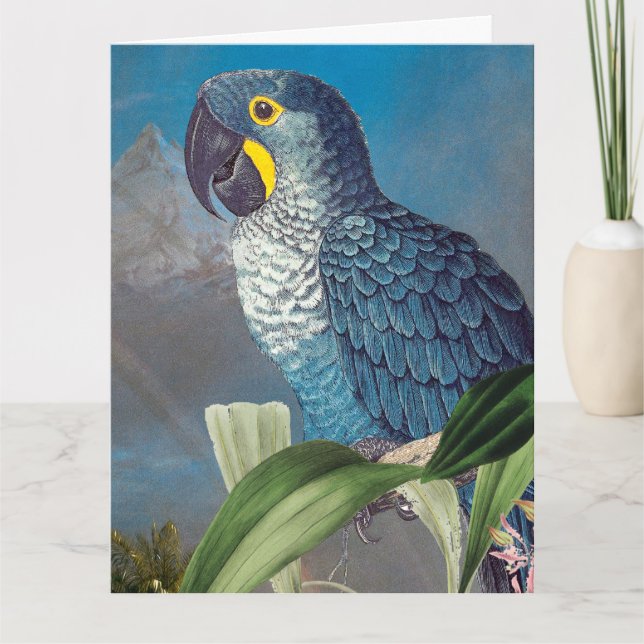 Hyacinth Macaw Parrot Bird Happy Birthday Big Card (Front)