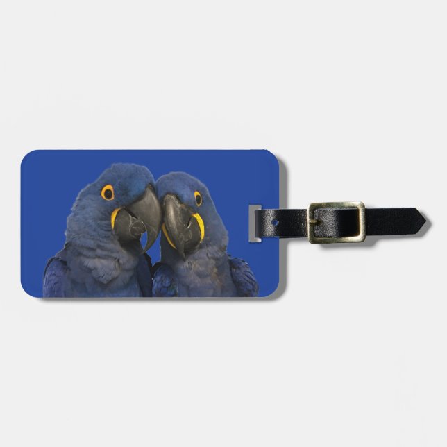 Hyacinth Macaw Parrot Bird Rare Blue Luggage Tag (Front Horizontal)