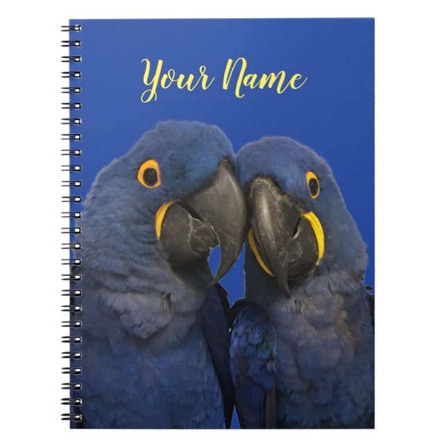 Hyacinth Macaw Parrot Bird Rare Blue Notebook (Front)