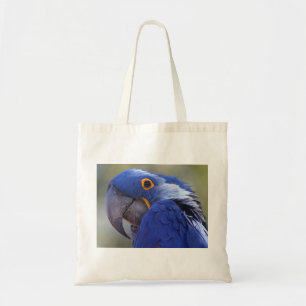 Hyacinth Macaw Tote Bag