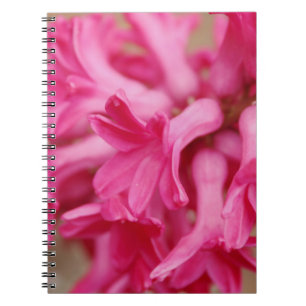 Hyacinth Pink Notebook
