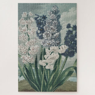 Hyacinths (1807) – Exquisite Vintage Botanical  Jigsaw Puzzle