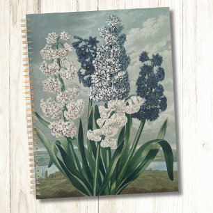 Hyacinths (1807) – Exquisite Vintage Botanical Planner