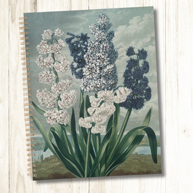 Hyacinths (1807) – Exquisite Vintage Botanical  Planner (Creator Uploaded)