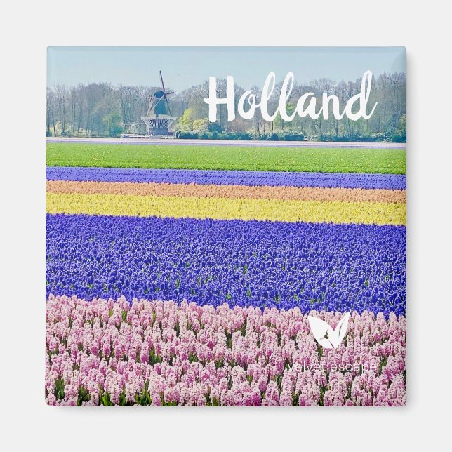 Hyacinths in Holland - magnet by Velvet Escape (Front)