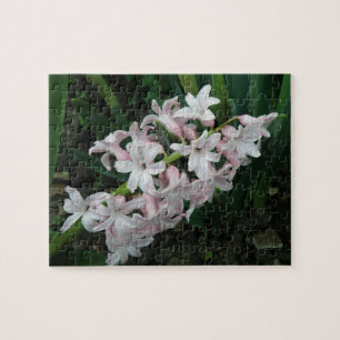 Hyacinths Puzzle