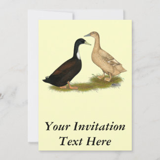 Hybrid Laying Duck Invitation