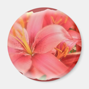Hybrid Lilies Coordinating Items Magnet
