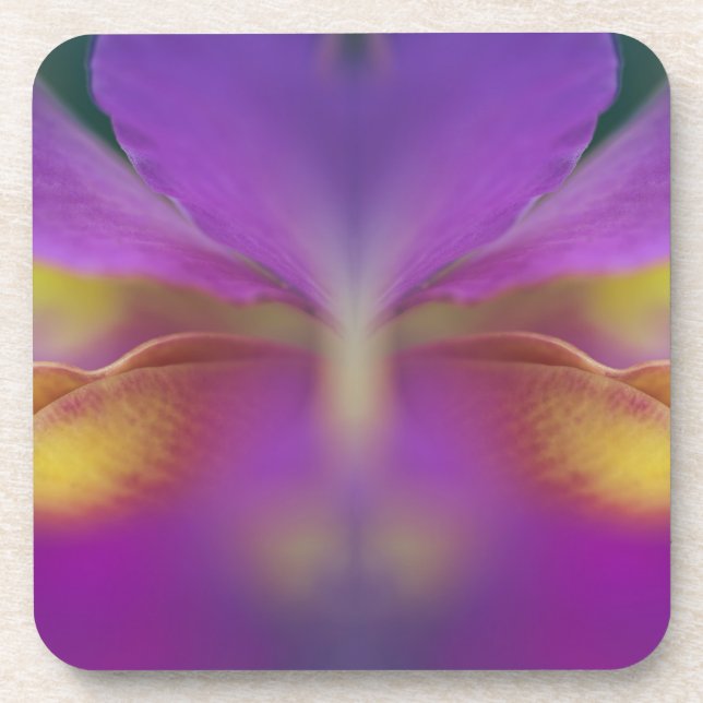 Hybrid orchid, Florida 2 Coaster (Front)