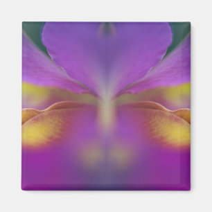 Hybrid orchid, Florida 2 Magnet