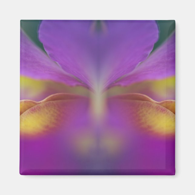 Hybrid orchid, Florida 2 Magnet (Front)