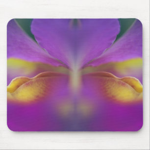 Hybrid orchid, Florida 2 Mouse Pad