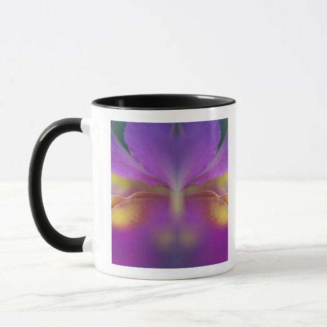 Hybrid orchid, Florida 2 Mug (Left)