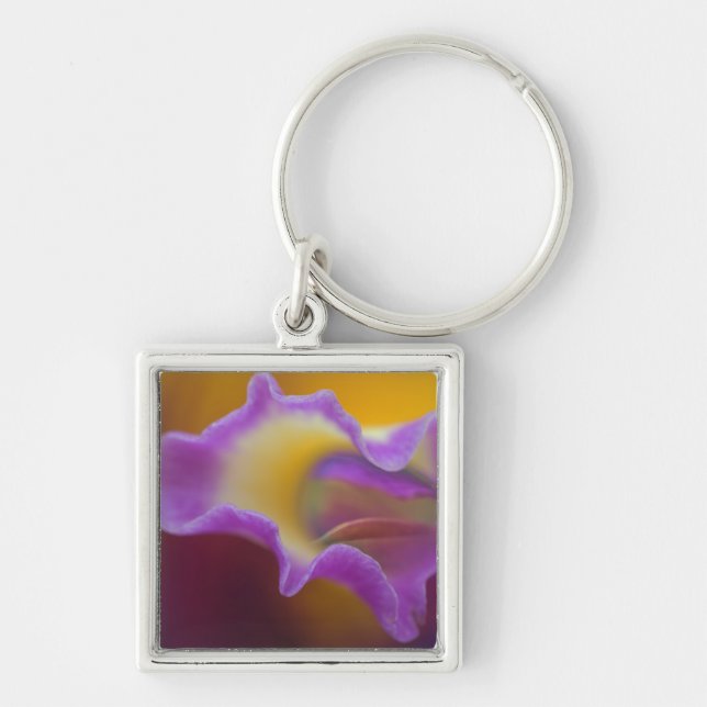 Hybrid orchid, Florida Key Ring (Front)