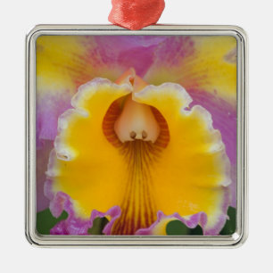 Hybrid orchid, Florida Metal Tree Decoration