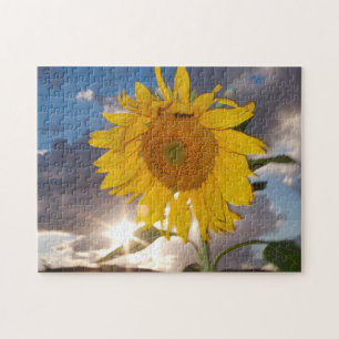 Hybrid sunflower blowing in the wind at dusk jigsaw puzzle