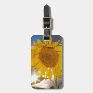 Hybrid sunflower blowing in the wind at dusk luggage tag