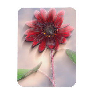 Hybrid sunflower blowing in the wind magnet