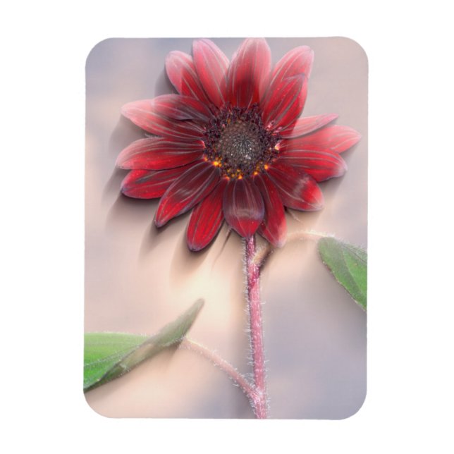Hybrid sunflower blowing in the wind magnet (Vertical)