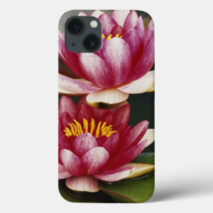 Hybrid water lilies iPhone 13 case