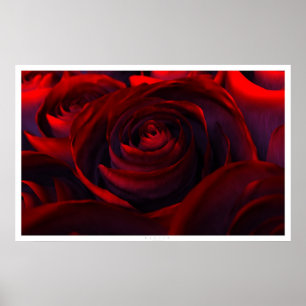 Hybrid (wide) poster