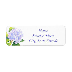 'Hydrangea'