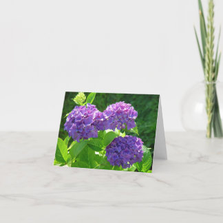 Hydrangea 2 card