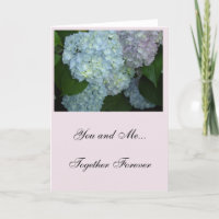 Hydrangea Anniversary