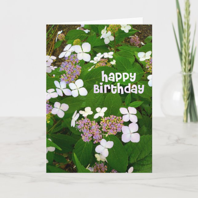 Hydrangea Aspera Birthday Card (Front)