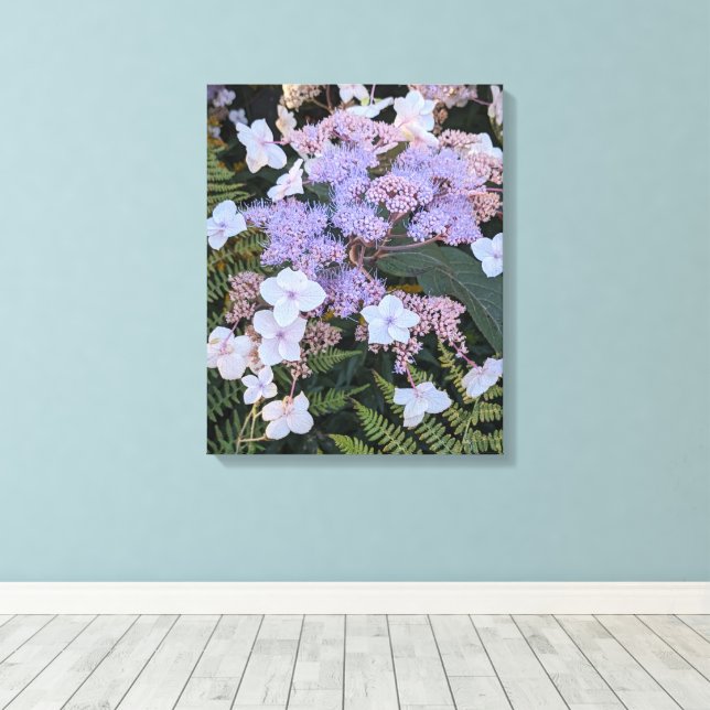 Hydrangea Aspera Flowers Floral Canvas Print (Insitu(Wood Floor))