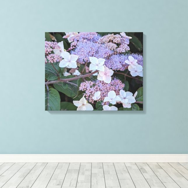 Hydrangea Aspera Flowers Floral Canvas Print (Insitu(Wood Floor))