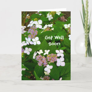 Hydrangea Aspera - Get Well Soon Card