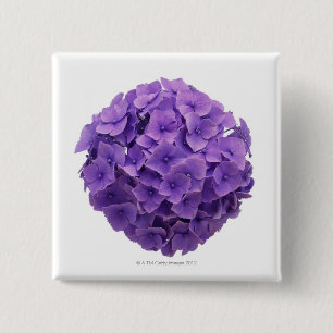 Hydrangea Ball Close-up 15 Cm Square Badge