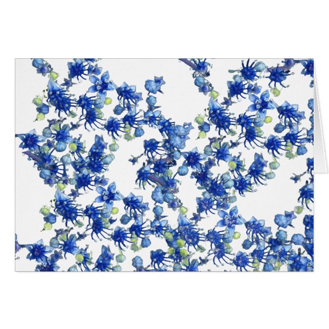 hydrangea bgc transparent (Front Horizontal)