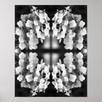 Hydrangea Black And White Mirror Abstract