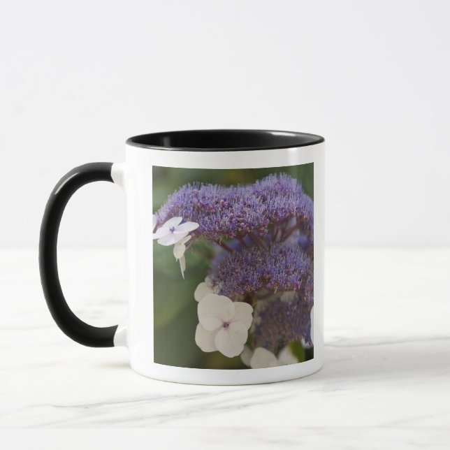 Hydrangea bloom, Dr. Sun Yat-Sen Chinese garden Mug (Left)
