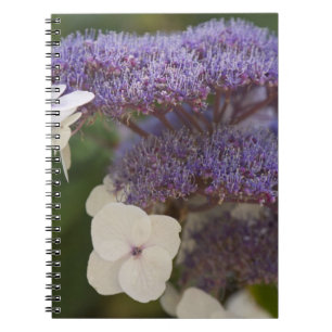 Hydrangea bloom, Dr. Sun Yat-Sen Chinese garden Spiral Notebook