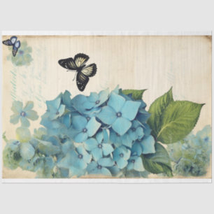 Hydrangea Blue dream ephemera Tissue Paper
