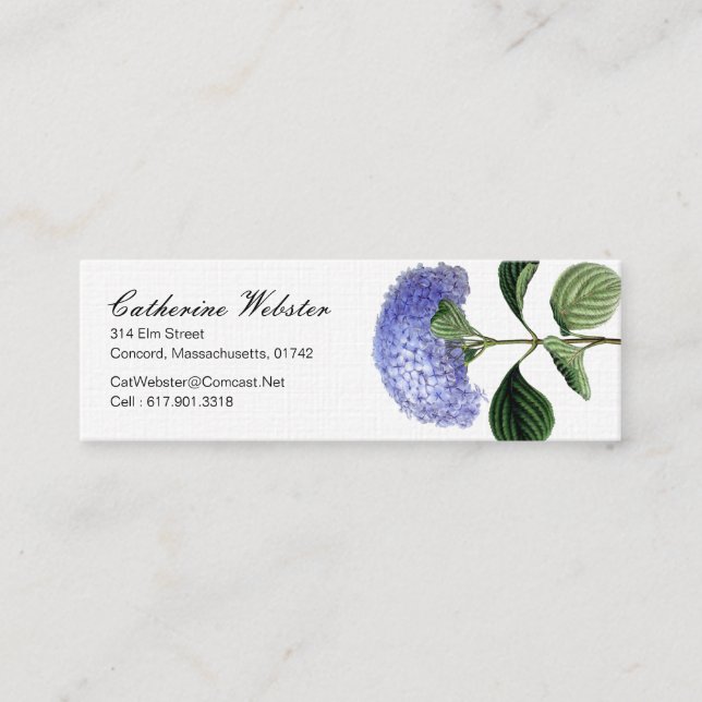 Hydrangea Botanical Business Card (Front)