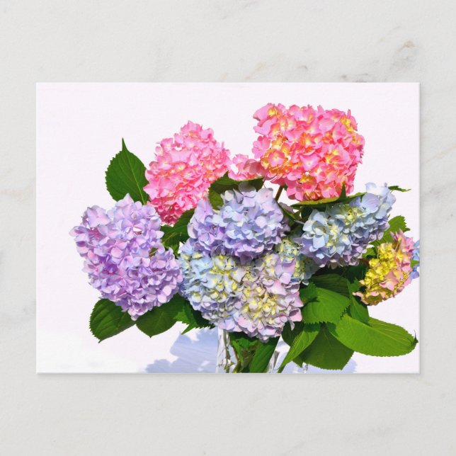 Hydrangea Bouquet Postcard (Front)