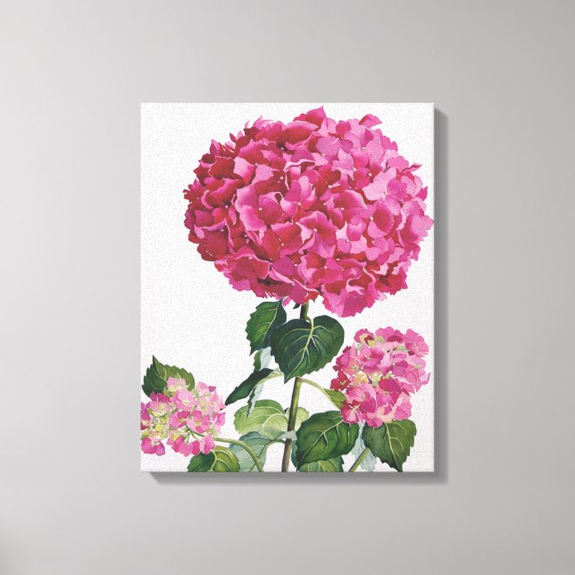 Hydrangea Canvas Print (Front)