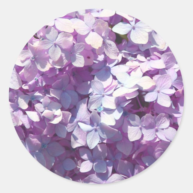 Hydrangea Classic Round Sticker (Front)