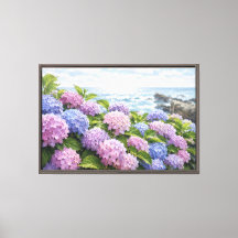 Hydrangea Coast