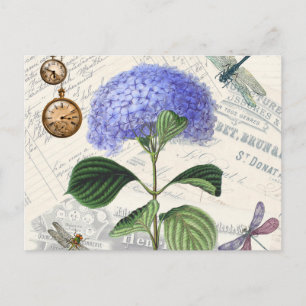 Hydrangea Collage Postcard