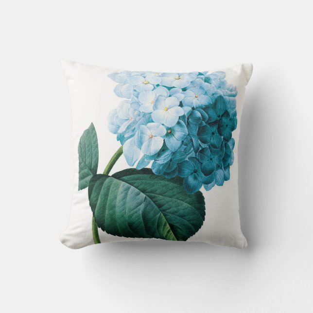 Hydrangea double flower illustration Redoute Cushion (Front)