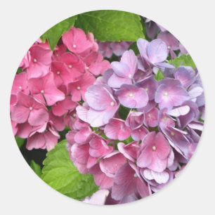 Hydrangea Floral Stickers