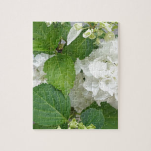 Hydrangea Flower Green White Nature Garden Plants Jigsaw Puzzle