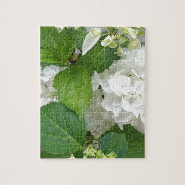 Hydrangea Flower Green White Nature Garden Plants Jigsaw Puzzle (Vertical)