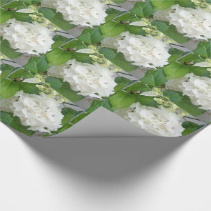Hydrangea Flower Green White Nature Garden Plants Wrapping Paper
